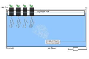 Hydroponic Wick System