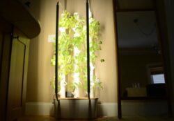 Gardyn 2.0 Indoor Hydroponic Vertical Garden Review