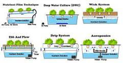 Different Hydroponic Systems