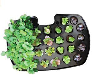 Aerogarden Seed starting system