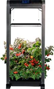 AeroGarden - Farm 12 XL Easy Setup - Healthy Eating Garden kit 12 Salad Bar Pods Included- App Capability - Black