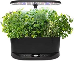 AeroGarden Bounty Basic Indoor Hydroponic Herb Garden, Black