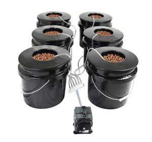 Bubble Brothers 6-Site DWC Hydroponic System