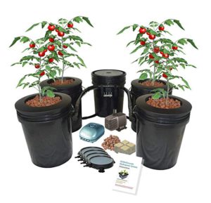 Hydroponic Recirculating Deep Water Culture System with Root Spa