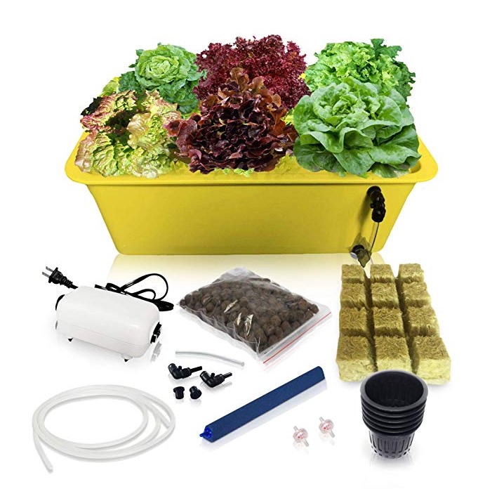 Deep Water Culture Hydroponic Growing Kit