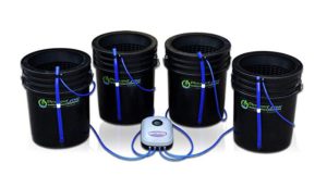 Deep Water Culture (DWC) Hydroponic Bubbler Bucket Kit by PowerGrow ® Systems