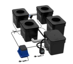 DWC Recirculating System