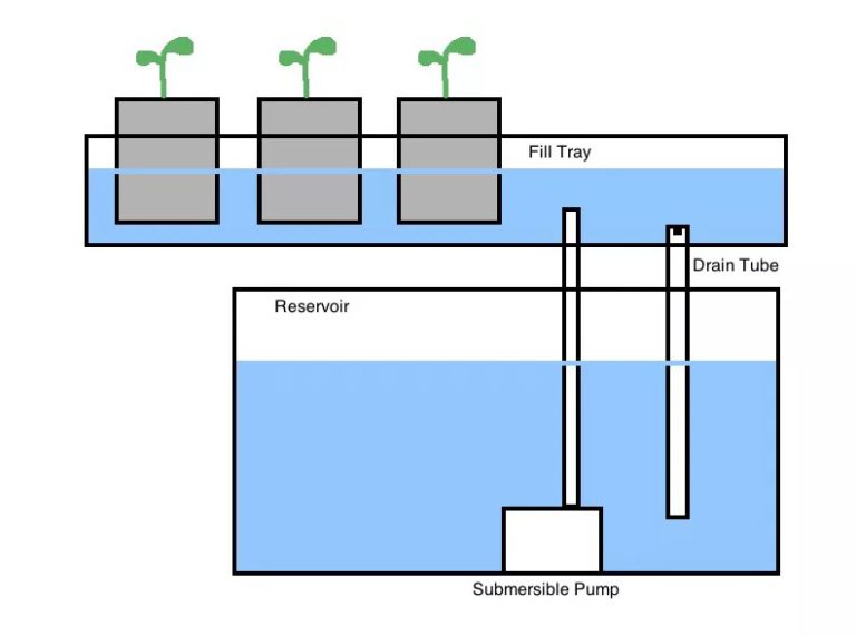 ebb and flow hydroponics