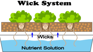 NFT Hydroponic Wick System