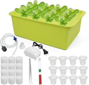 Hydroponic System Growing Kit