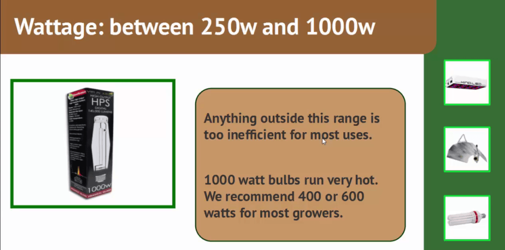 Best HID Grow Lights and Reflectors My Indoor Grow Systems