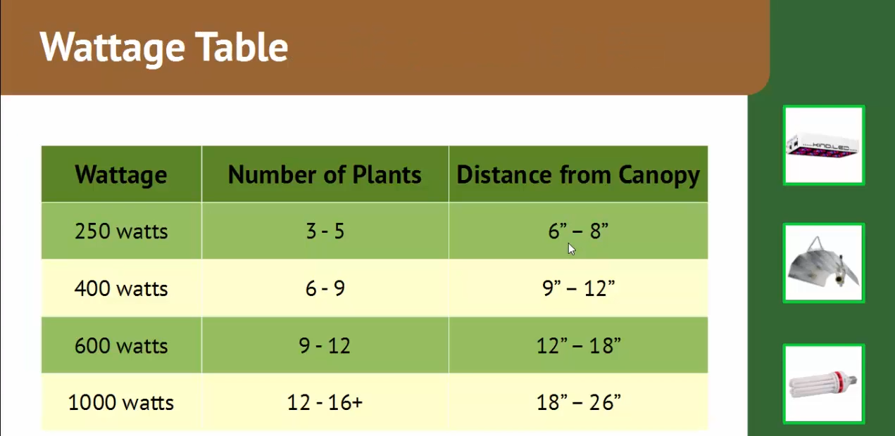 Best HID Grow Lights and Reflectors — My Indoor Grow Systems