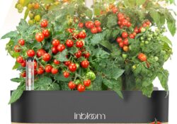 inBloom Hydroponics Growing System