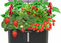 MUFGA 8 Pods Herb Garden Kit