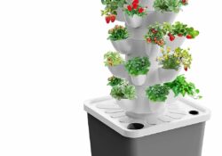 OvyNewzly Vertical Hydroponic Tower Garden