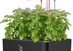 iDOO Hydroponics Growing System