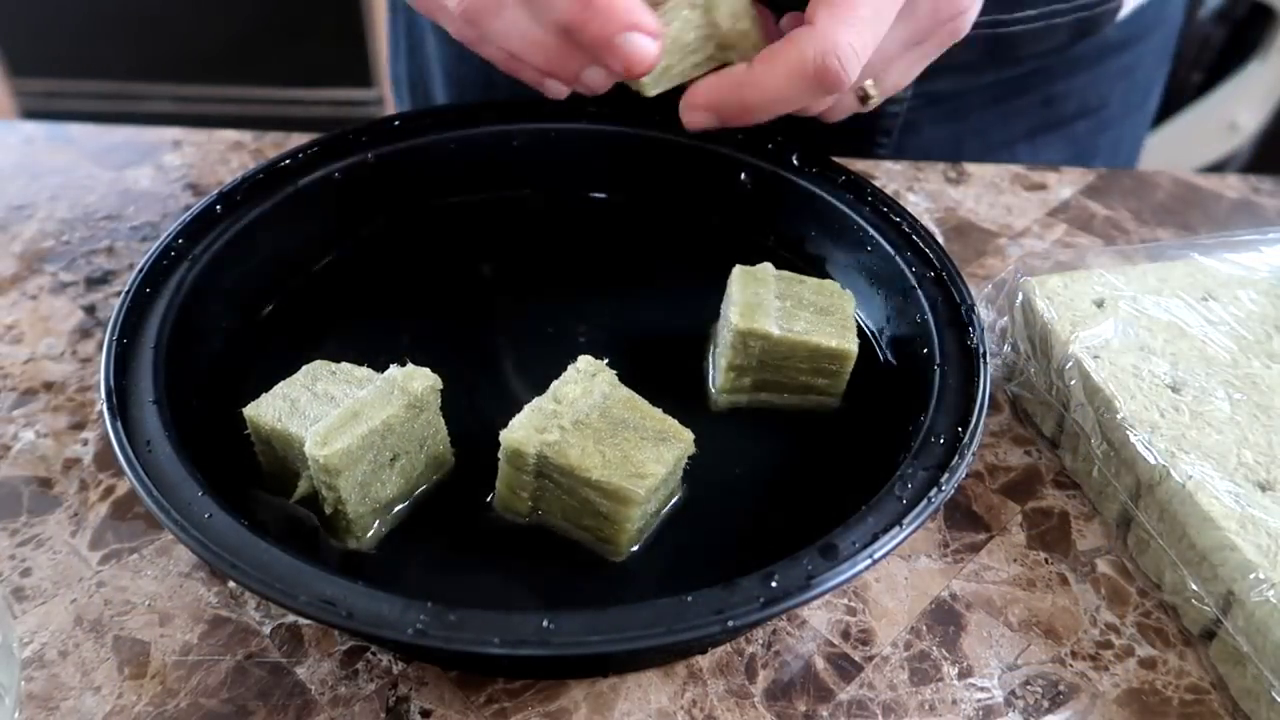 What is the Kratky Method of Hydroponics? My Indoor Grow Systems