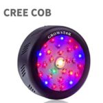 Cree COB LED Light