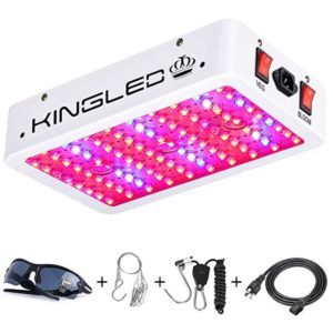 King Plus LED - Second Best LED Grow Light for 2020