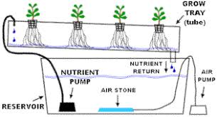 How NFT works