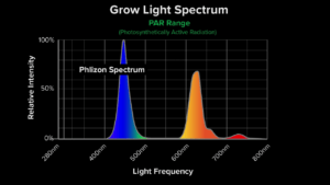 Philzon Spectrum