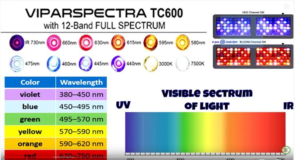 ViparSpectra 600 Watt LED Grow Light Review – My Indoor Grow Systems