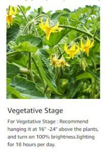 Vivarspectra Vegetative Height