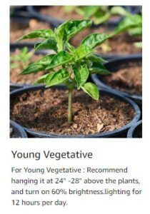 VivarSpectra Young Vegetation Height