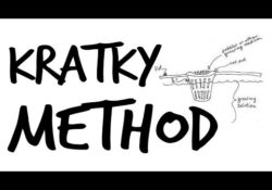 How Does the Kratky Method of Hydroponics Work?